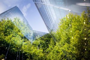Große Bürogebäude ragen aus Bäumen heraus. Man erkennt das Konzept einer Green City.